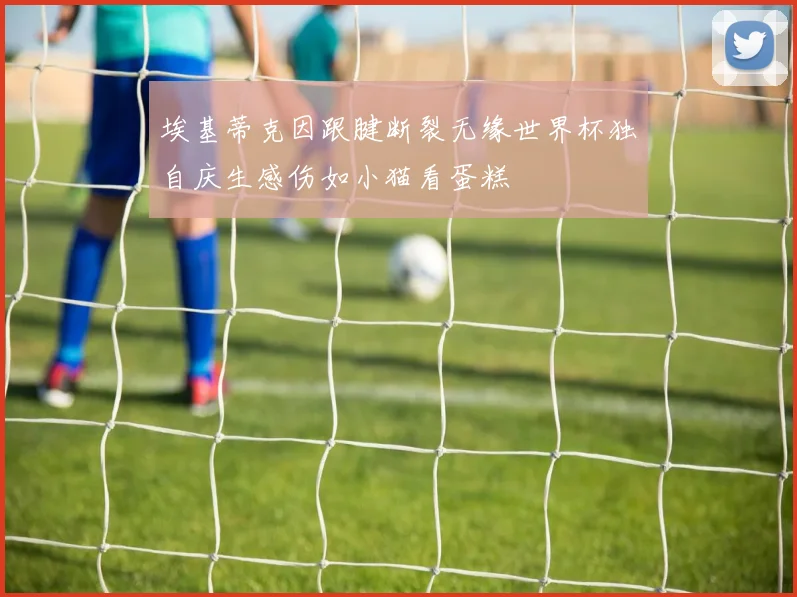埃基蒂克因跟腱断裂无缘世界杯独自庆生感伤如小猫看蛋糕